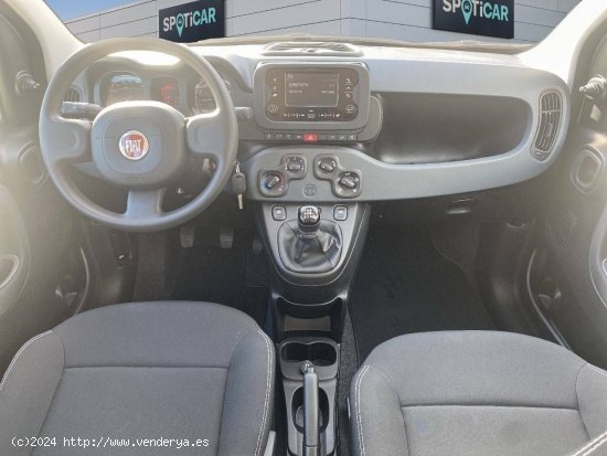 Fiat Panda  Panda Hybrid 1.0 51kw (70CV) - - CANET D EN BERENGUER