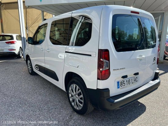 Citroën Berlingo  Talla M BlueHDi 100 S&S Shine - Sevilla