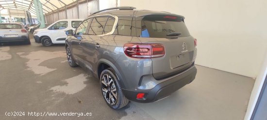 Citroën C5 Aircross  BlueHdi 96kW (130CV) S&S EAT8 Shine Pack - Sevilla