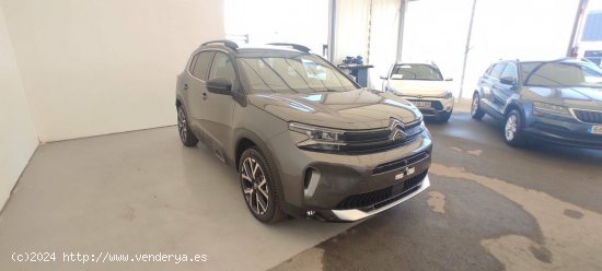 Citroën C5 Aircross  BlueHdi 96kW (130CV) S&S EAT8 Shine Pack - Sevilla