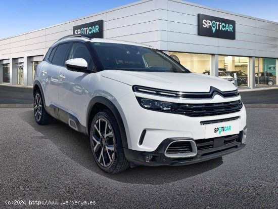 Citroën C5 Aircross  PureTech 96kW (130CV) S&S Feel - Sevilla