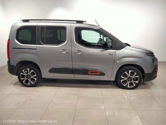 Citroën Berlingo  Talla M BlueHDi 100 S&S Shine Business - VITORIA