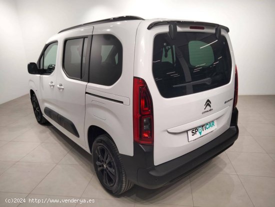 Citroën Berlingo  Talla M ë-Berlingo 50 kWh Feel - VITORIA