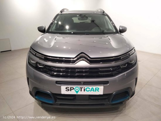 Citroën C5 Aircross  225 e-EAT8 Shine - VITORIA