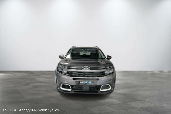 Citroën C5 Aircross  BlueHdi 96kW (130CV) S&S Shine - Lleida