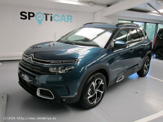 Citroën C5 Aircross  PureTech 96kW (130CV) S&S Feel - Lleida