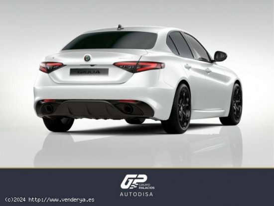 Alfa Romeo Giulia 2.2 Diesel 154kW Tributo Italiano Q4 - València