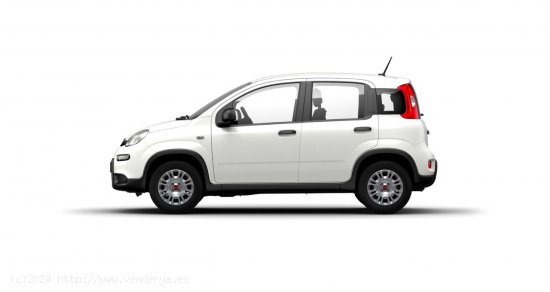 Fiat Panda Panda Hybrid 1.0 51kw (70CV) - València