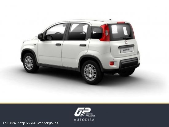 Fiat Panda Panda Hybrid 1.0 51kw (70CV) - València