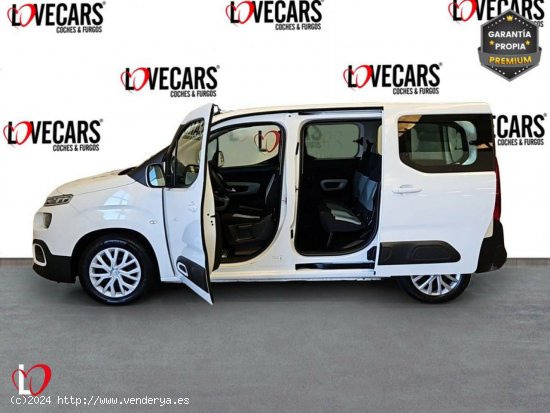 Citroën Berlingo BlueHDI S&S COMBI FEEL 100 - VIgo