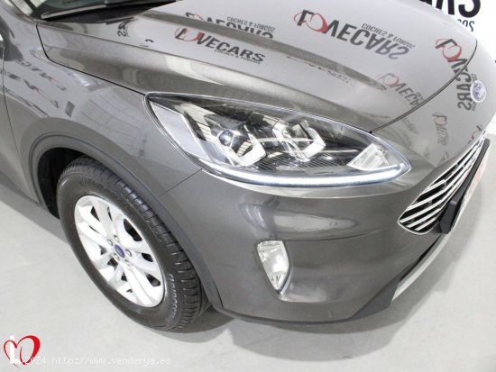 Ford Kuga 1.5 EcoBlue TITANIUM 120 - VIgo