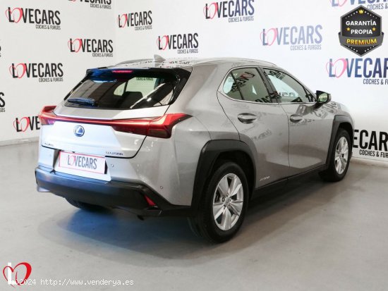 Lexus UX 2.0 250h Business - VIgo