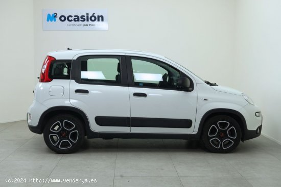 Fiat Panda City Life Hybrid 1.0 Gse 51kw (70CV) - Gandía