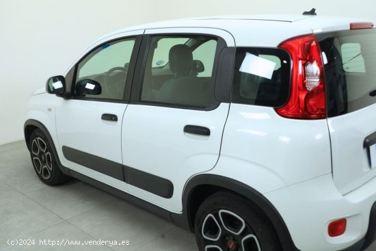 Fiat Panda City Life Hybrid 1.0 Gse 51kw (70CV) - Gandía