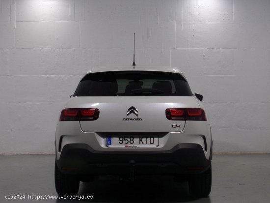 Citroën C4 Cactus Feel - Lleida