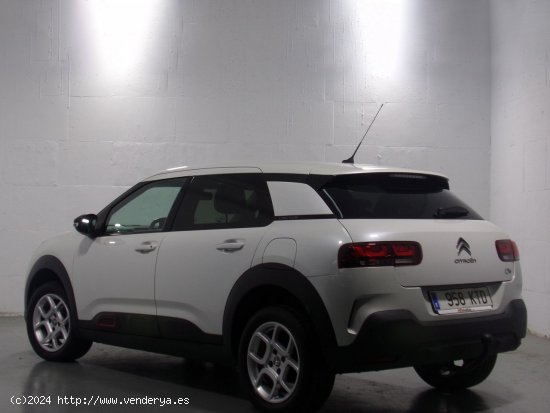 Citroën C4 Cactus Feel - Lleida