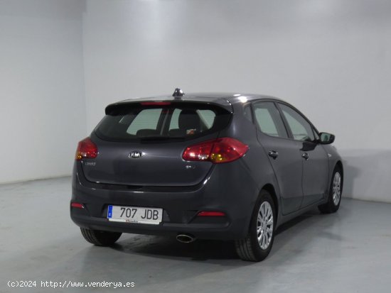 Kia Ceed Business - Alicante