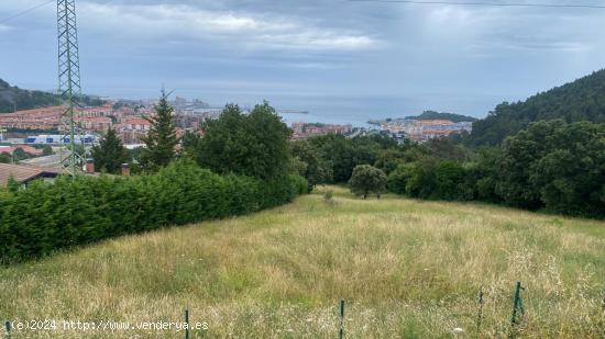 FINCA RÚSTICA EN CASTRO URDIALES, CANTABRIA (CALLLE VALMASEDA) - CANTABRIA