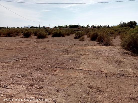 Terreno para construir entre Elche y Matola, LO VAS A PERDER?? - ALICANTE