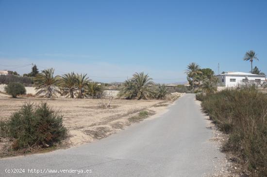 Terreno para construir entre Elche y Matola, LO VAS A PERDER?? - ALICANTE