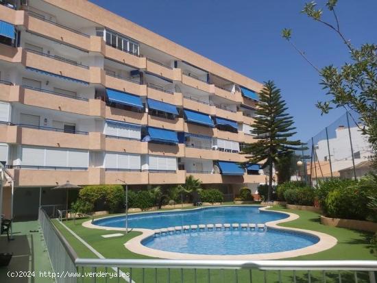 Precioso estudio, zona Acequion- Torrevieja, a tan solo 250 m de la playa - ALICANTE