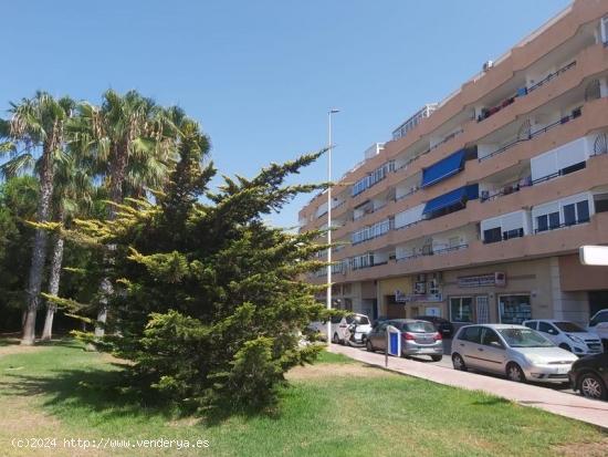 Precioso estudio, zona Acequion- Torrevieja, a tan solo 250 m de la playa - ALICANTE