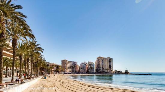 Beautiful 1 bedroom apartment Playa del Cura in Torrevieja - ALICANTE