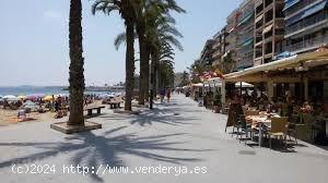 Apartamento en el centro de Torrevieja cerca de la playa Playa del Cura - ALICANTE