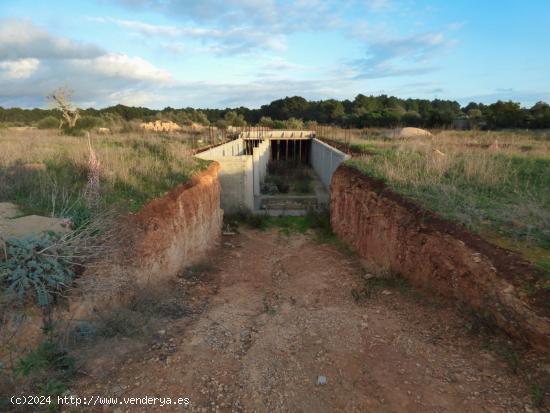 Finca rústica en Algaida, Mallorca - BALEARES