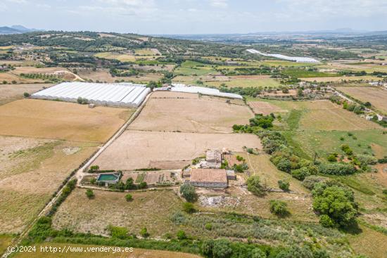 Suelo Rústico de 65.703 m2 con casa antigua para reformar - BALEARES