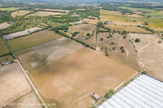  Suelo Rústico Urbanizable de 76.125 m2 a las afueras de Manacor - BALEARES 