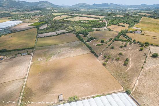 Suelo Rústico Urbanizable de 76.125 m2 a las afueras de Manacor - BALEARES