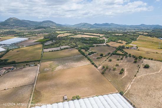 Suelo Rústico Urbanizable de 76.125 m2 a las afueras de Manacor - BALEARES