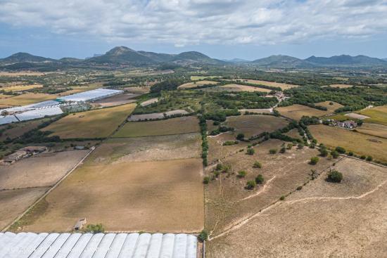 Suelo Rústico Urbanizable de 76.125 m2 a las afueras de Manacor - BALEARES