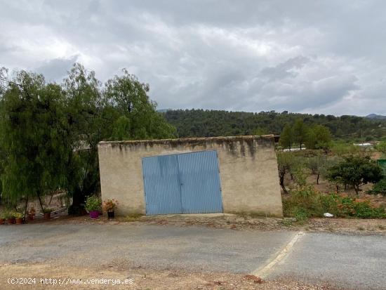 SE VENDE CASA  CON TERRENO EN CAMPO DE RICOTE - MURCIA