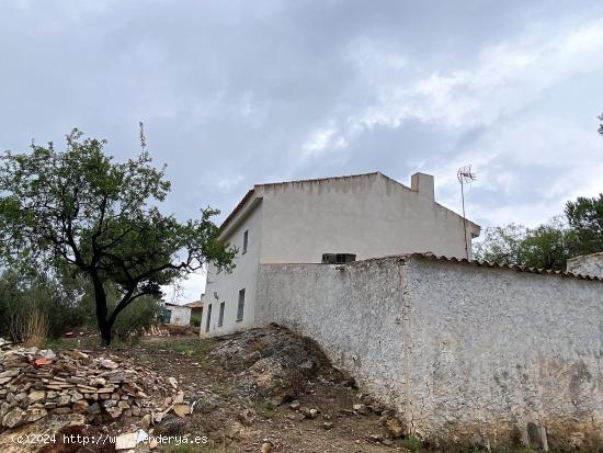 SE VENDE CASA  CON TERRENO EN CAMPO DE RICOTE - MURCIA