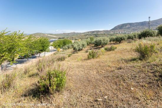  Terreno urbano en Alfacar, perfecto para inversionistas - GRANADA 