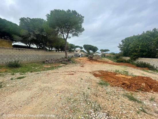  PARCELA 1000 M2 EN  RANA VERDE TOTALMENTE VALLADA - CADIZ 