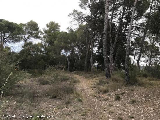 A Calders. Urbanització la Guardia.  Venem parcela urbanitzable. - BARCELONA