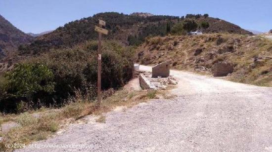  SUELO RÚSTICO EN DÍLAR! - GRANADA 