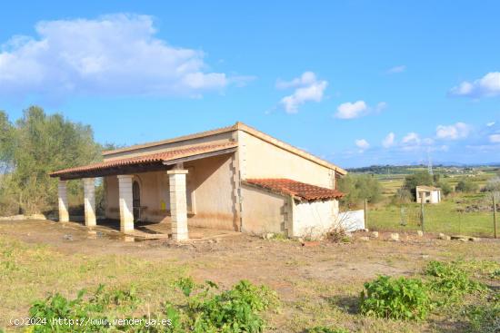 Finca rústica  con casa de campo y fantásticas vistas a las Serra de Llevant en Muro. - BALEARES