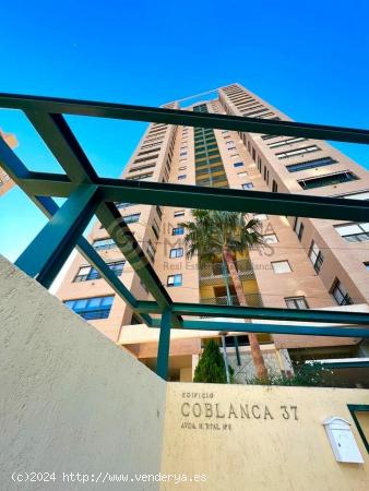 El hogar ideal para ti y tu familia en la Playa Poniente de Benidorm. - ALICANTE