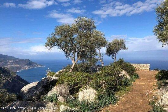 Maravillosa finca rústica en alquiler en la Serra de Tramuntana rodeada de belleza natural - BALEAR