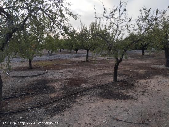 Cortijo para reformar con terreno en Puerto Lumbreras - Zona Esparragal - MURCIA