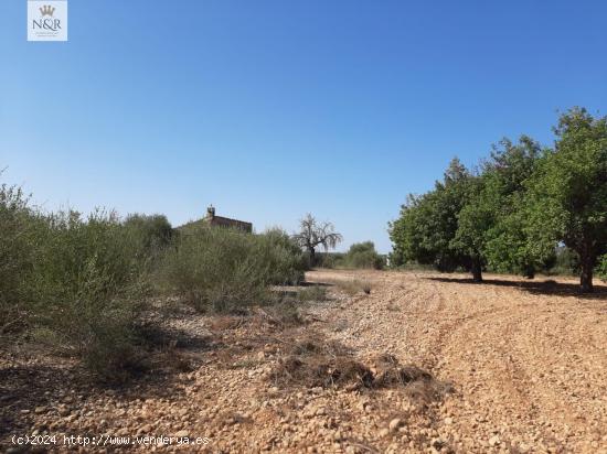 FINCA RÚSTICA EN BINIALI CON PROYECTO - BALEARES