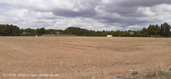  TERRENO RÚSTICO URBANIZABLE A POCA DISTANCIA DE LA POBLACIÓN - ALBACETE 