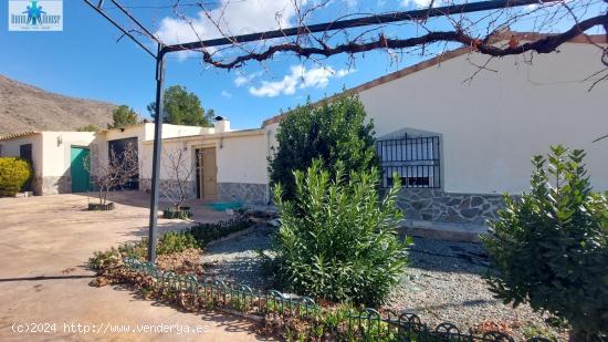  AMPLIA Y BONITA CASA DE PUEBLO - ALBACETE 