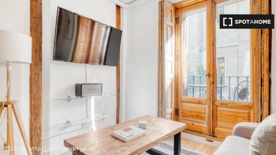 Apartamento de 1 dormitorio en alquiler en Madrid - MADRID