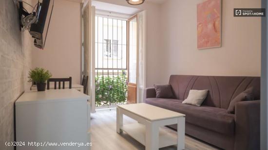 apartamento de 1 dormitorio en alquiler en Lavapiés, Madrid - MADRID