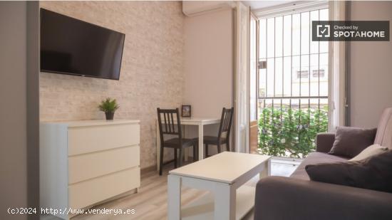 apartamento de 1 dormitorio en alquiler en Lavapiés, Madrid - MADRID